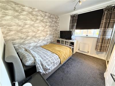 Picture 7